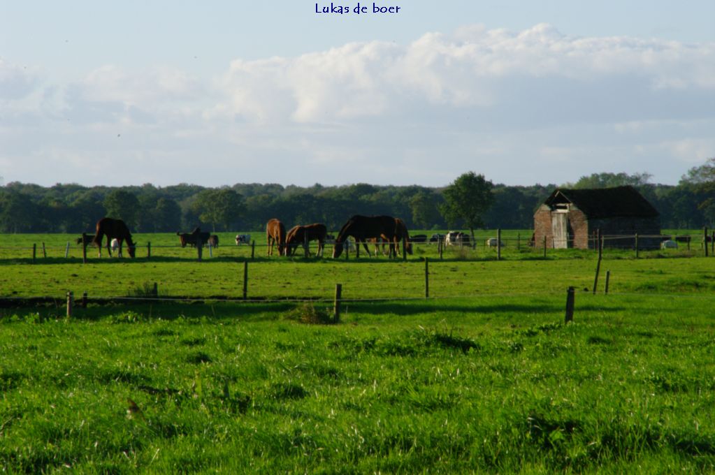 tour 2010 (30).jpg - achterlangs De Ring richting Anemonenbosje